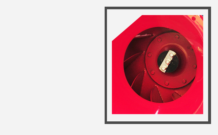 葉片細節(jié)圖 葉片細節(jié)圖