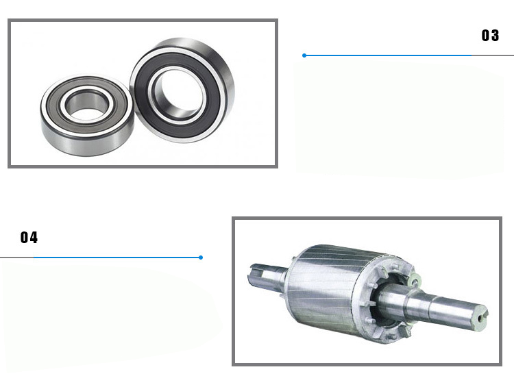 軸承、轉(zhuǎn)子圖