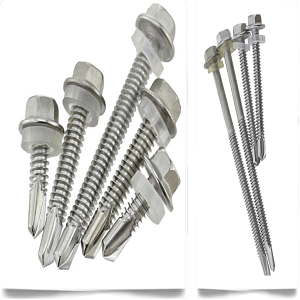 詳細展示 詳細展示