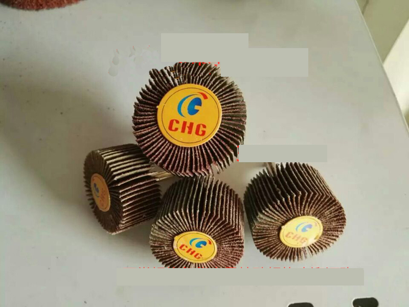 百潔布帶柄頁輪主圖 百潔布帶柄頁輪主圖