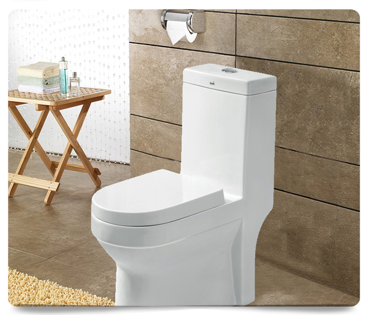 節(jié)水型座便器商品情景 節(jié)水型座便器商品情景