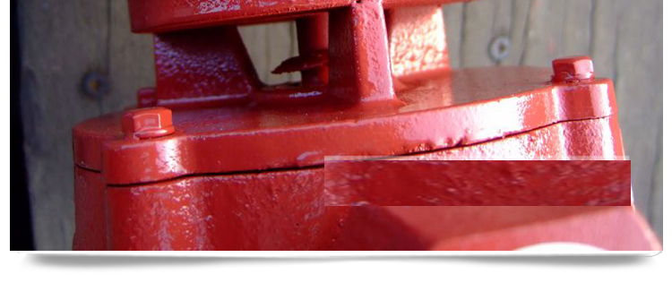 實拍展示 實拍展示