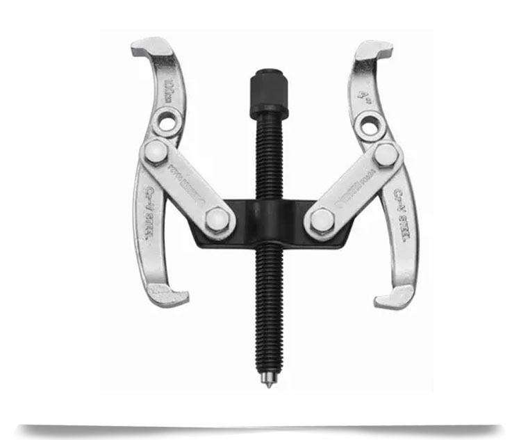 兩爪拉馬主圖一