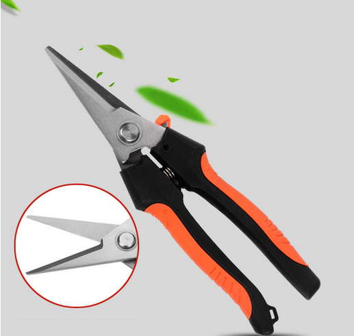 剪刀頭展示 剪刀頭展示