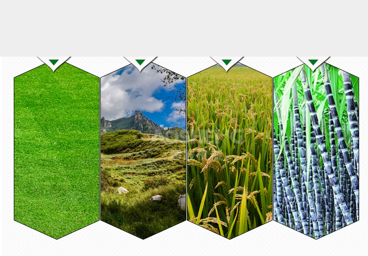 用途展示 用途展示