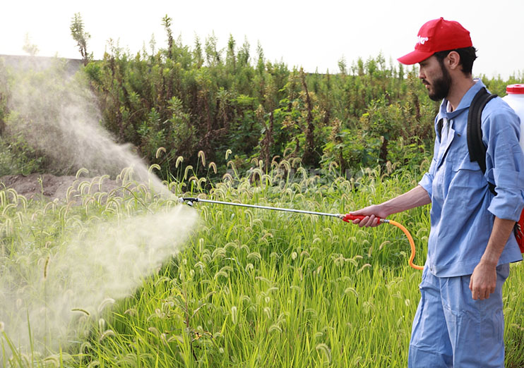 產(chǎn)品展示(三) 產(chǎn)品展示(三)