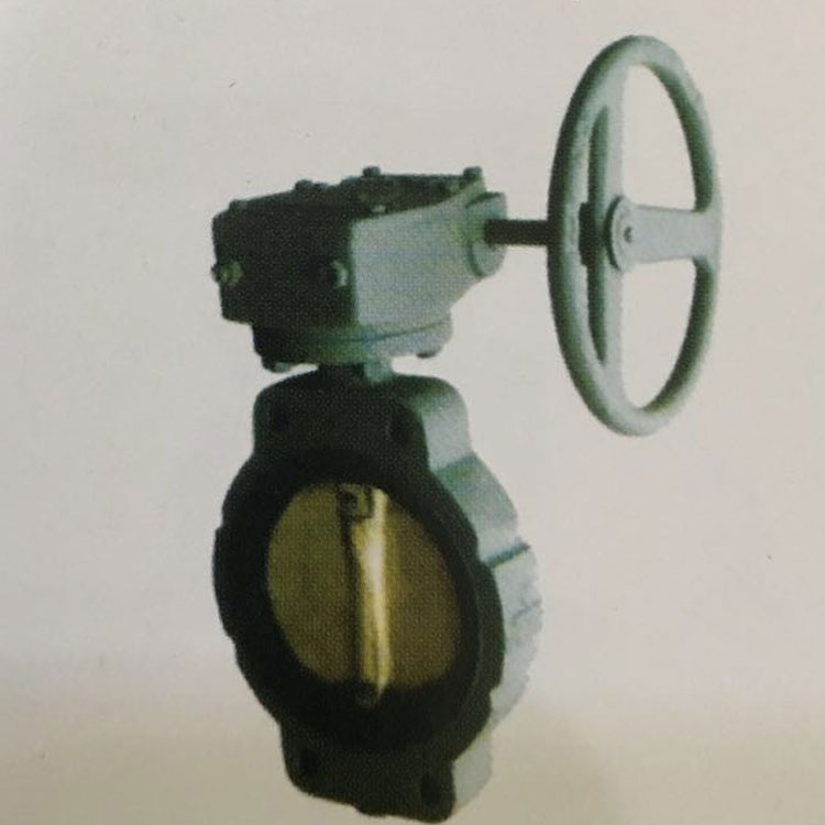 全順渦輪式蝶閥主圖