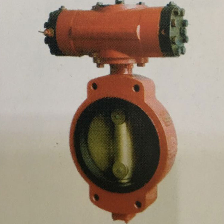 全順液動(dòng)蝶閥主圖 全順液動(dòng)蝶閥主圖