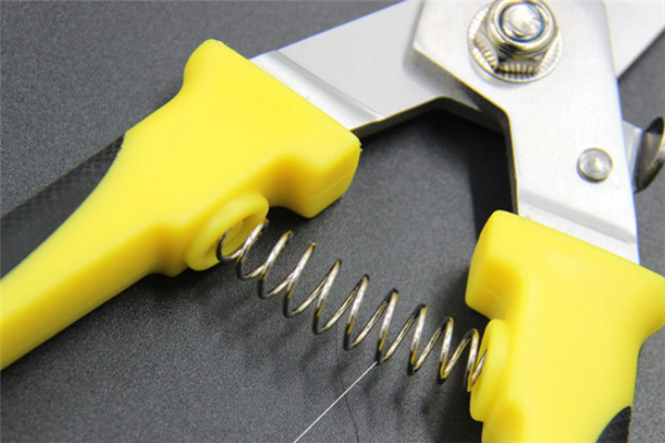 圖片展示 圖片展示