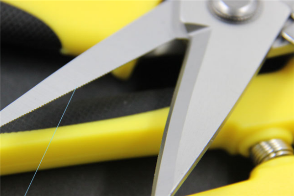 圖片展示 圖片展示