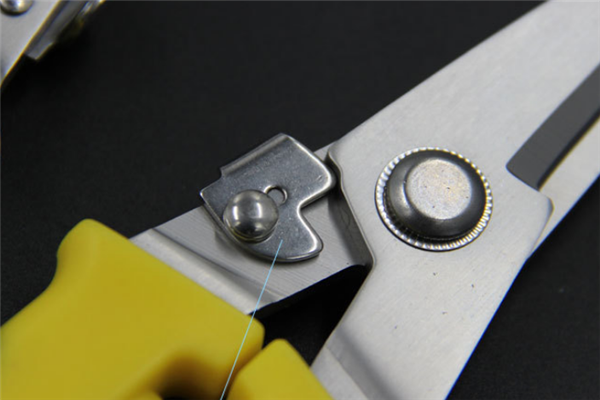 圖片展示 圖片展示