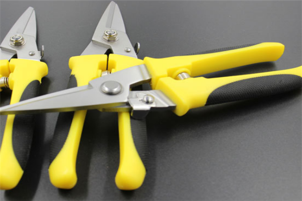 圖片展示 圖片展示