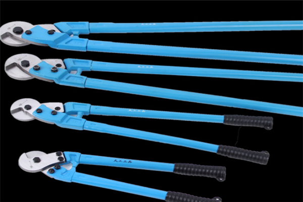 圖片展示 圖片展示