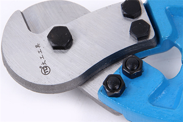 圖片展示 圖片展示