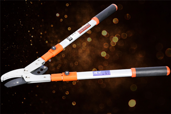 圖片展示圖 圖片展示圖