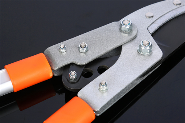 圖片展示圖 圖片展示圖