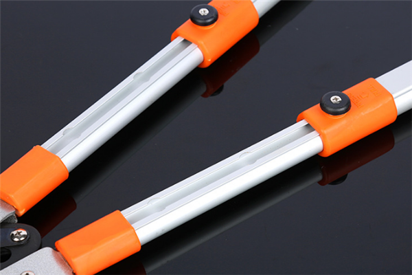 圖片展示圖 圖片展示圖