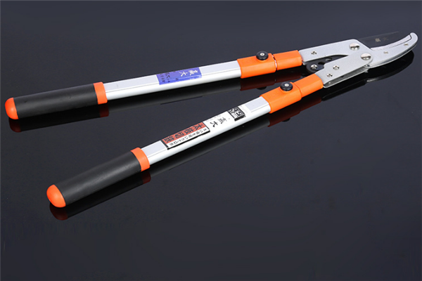 圖片展示圖 圖片展示圖