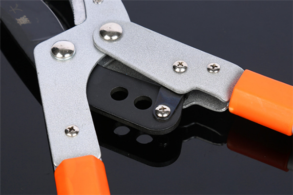 圖片展示圖 圖片展示圖