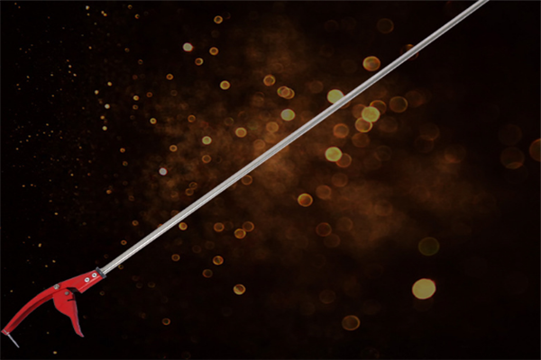 圖片展示 圖片展示