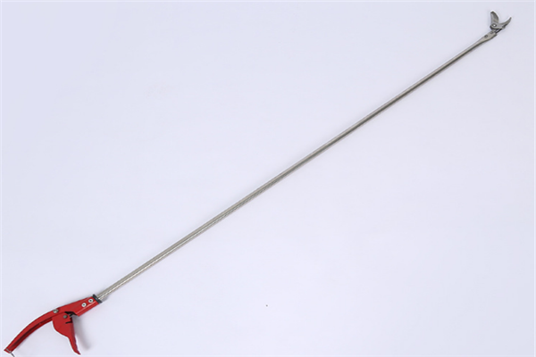 圖片展示 圖片展示