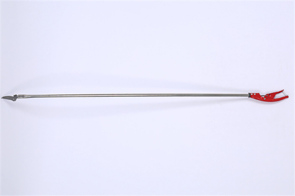 圖片展示 圖片展示