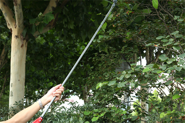 圖片展示 圖片展示