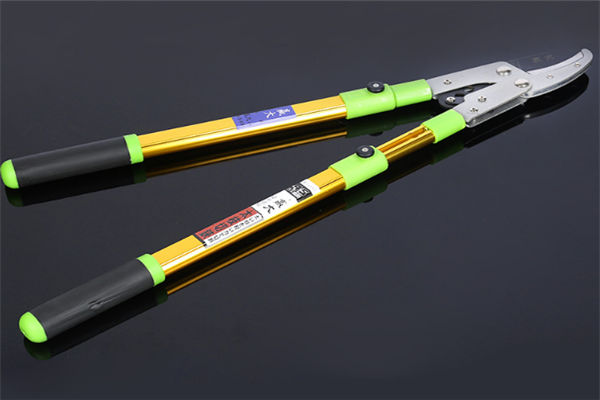 圖片展示 圖片展示