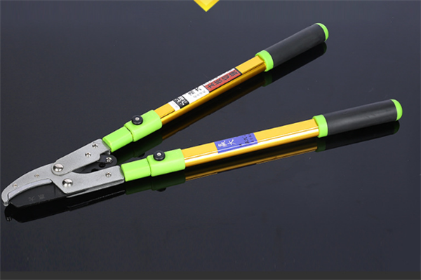 圖片展示 圖片展示