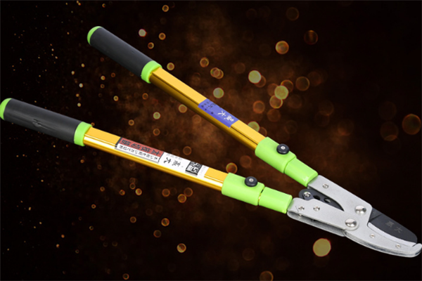 圖片展示 圖片展示