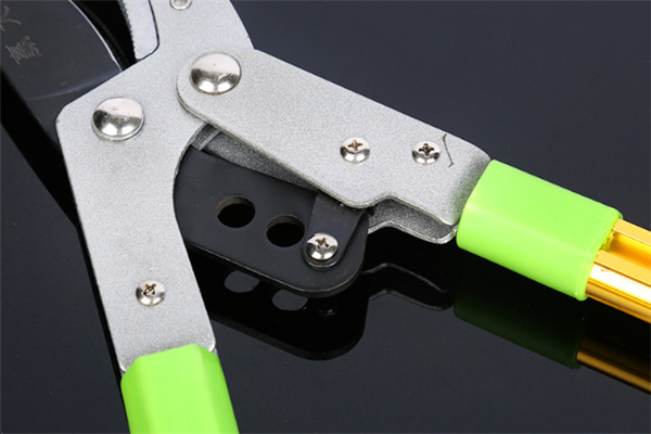 圖片展示 圖片展示