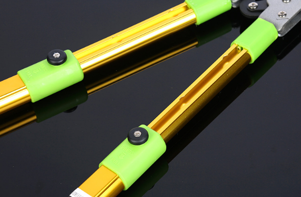 圖片展示 圖片展示