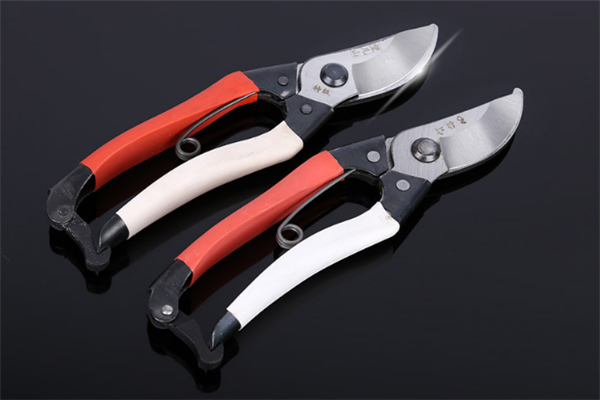 圖片展示 圖片展示