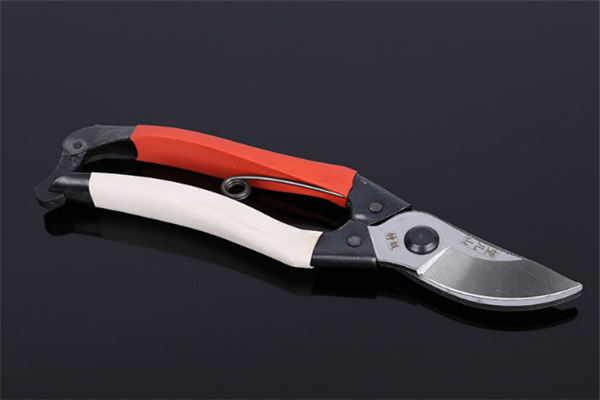 圖片展示 圖片展示