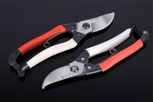 圖片展示 圖片展示