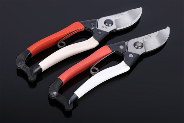 圖片展示 圖片展示