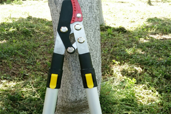 圖片展示 圖片展示