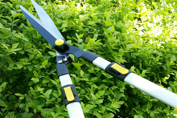 圖片展示 圖片展示