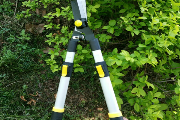 圖片展示 圖片展示