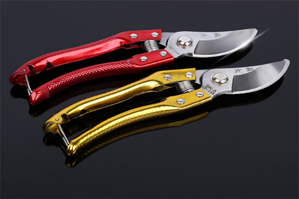 圖片展示 圖片展示