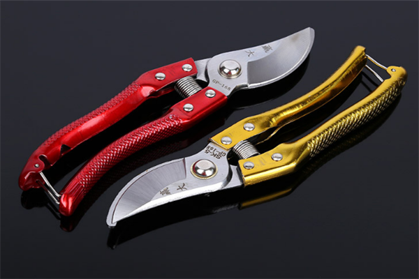 圖片展示 圖片展示