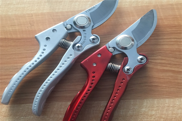 圖片展示 圖片展示