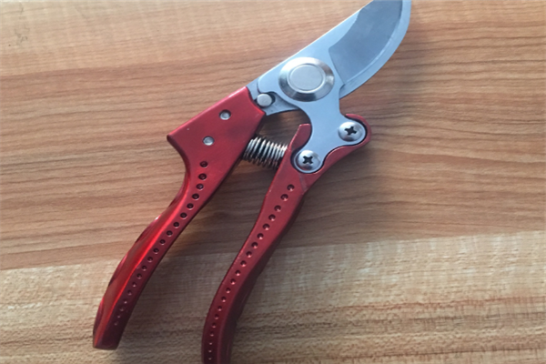 圖片展示 圖片展示