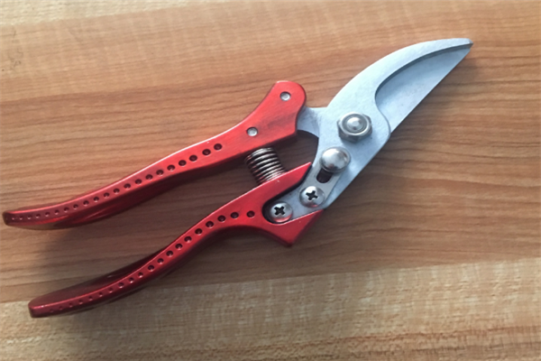 圖片展示 圖片展示