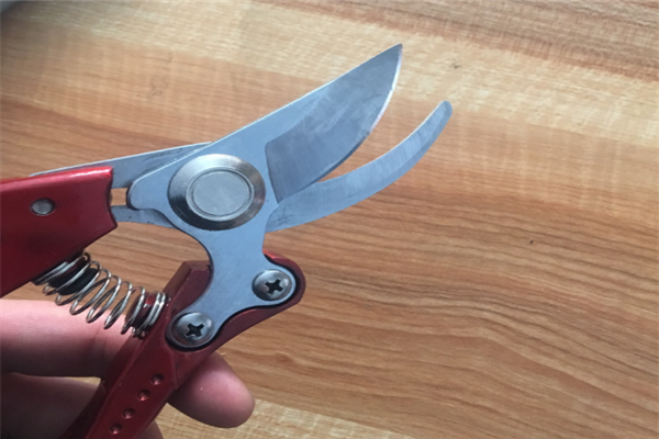 圖片展示 圖片展示