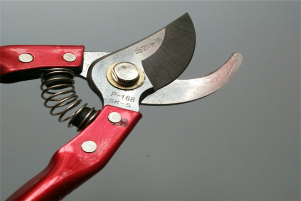 圖片展示 圖片展示