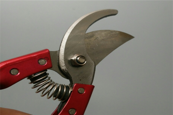 圖片展示 圖片展示