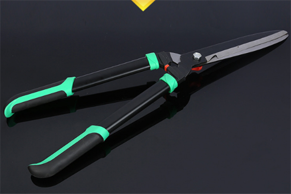 圖片展示 圖片展示