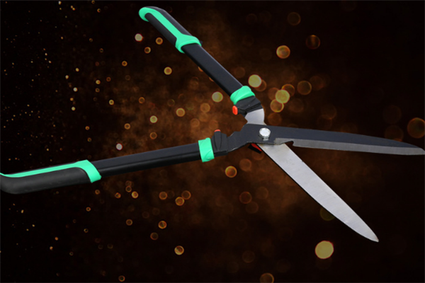 圖片展示 圖片展示