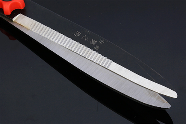 圖片展示 圖片展示